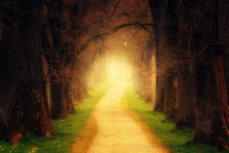 Mystical Garden Paths