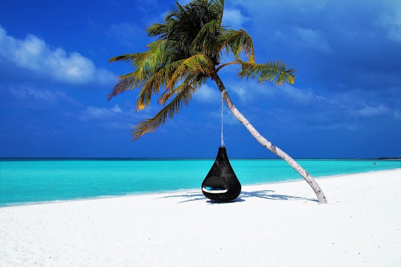 Tropical Hammock